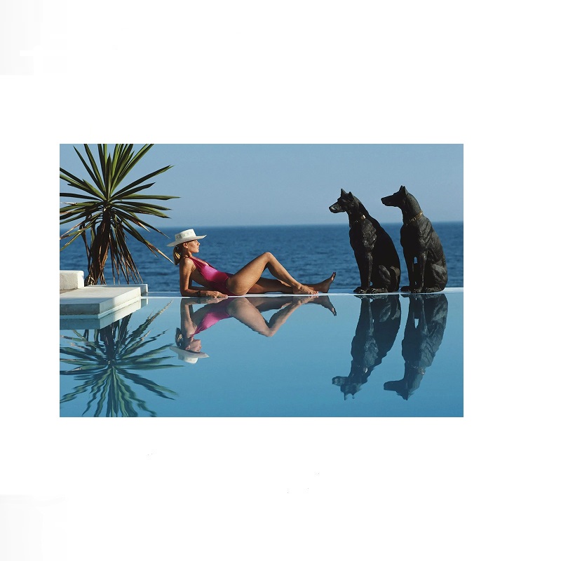Retro Poolside Host Luxury Lif - Luxury Lifestyle Picture ulasan dan harga